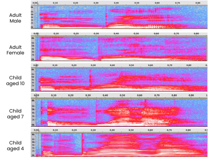 vocal pitch changes with age