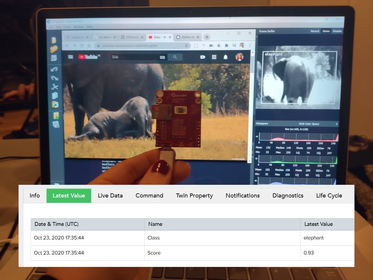 Sara Olsson's TinyML and IoT monitoring dashboard
